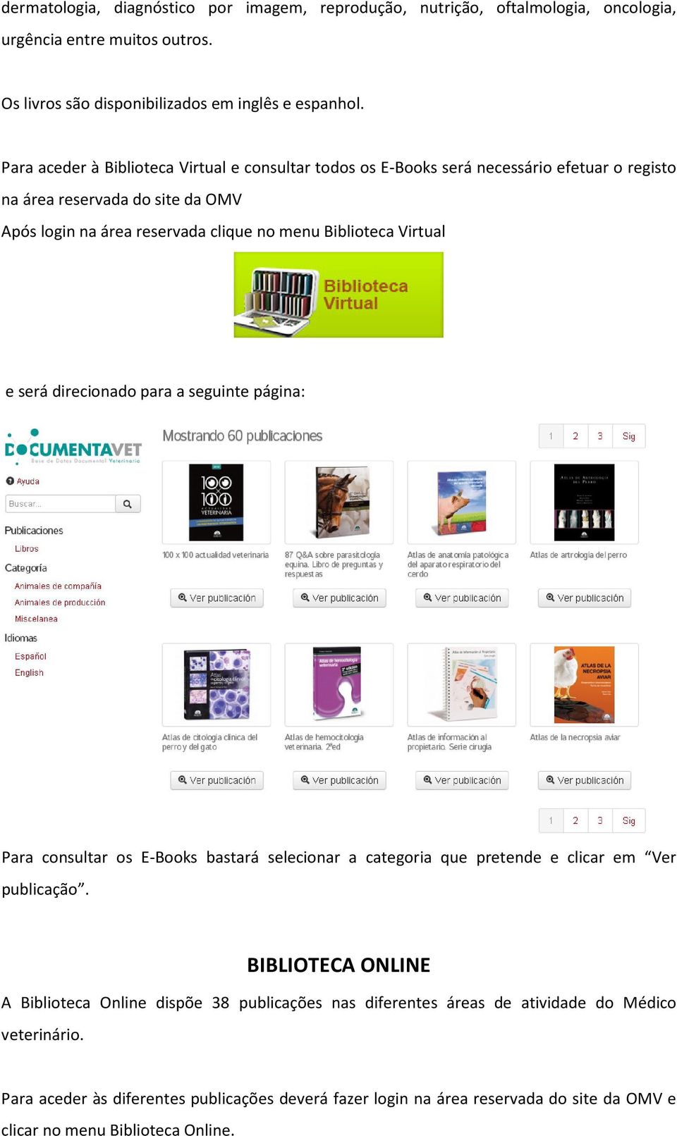 Virtual e será direcionado para a seguinte página: Para consultar os E-Books bastará selecionar a categoria que pretende e clicar em Ver publicação.