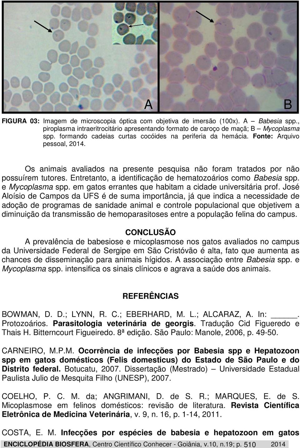 Entretanto, a identificação de hematozoários como Babesia spp. e Mycoplasma spp. em gatos errantes que habitam a cidade universitária prof.