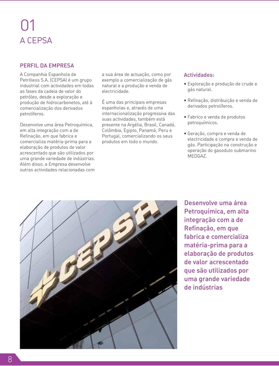 Desenvolve uma área Petroquímica, em alta integração com a de Refinação, em que fabrica e comercializa matéria-prima para a elaboração de produtos de valor acrescentado que são utilizados por uma