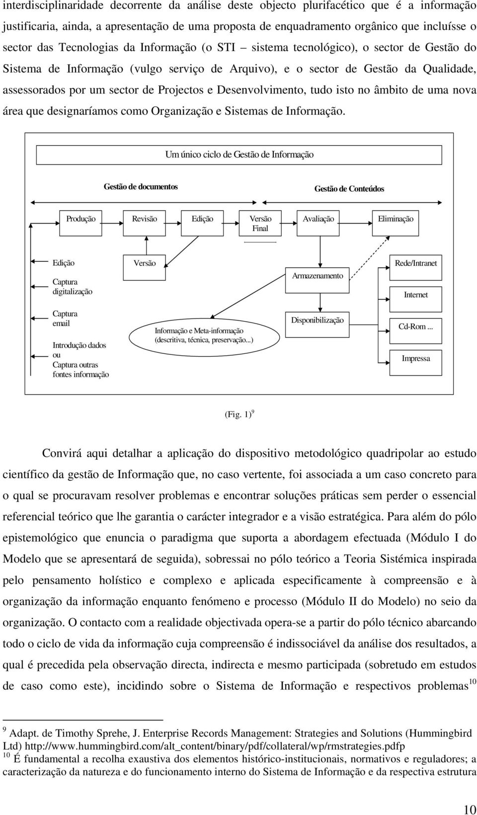 Projectos e Desenvolvimento, tudo isto no âmbito de uma nova área que designaríamos como Organização e Sistemas de Informação.