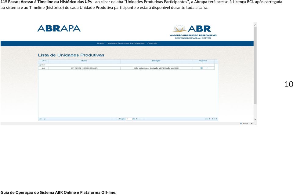 BCI, após carregada ao sistema e ao Timeline (histórico) de cada