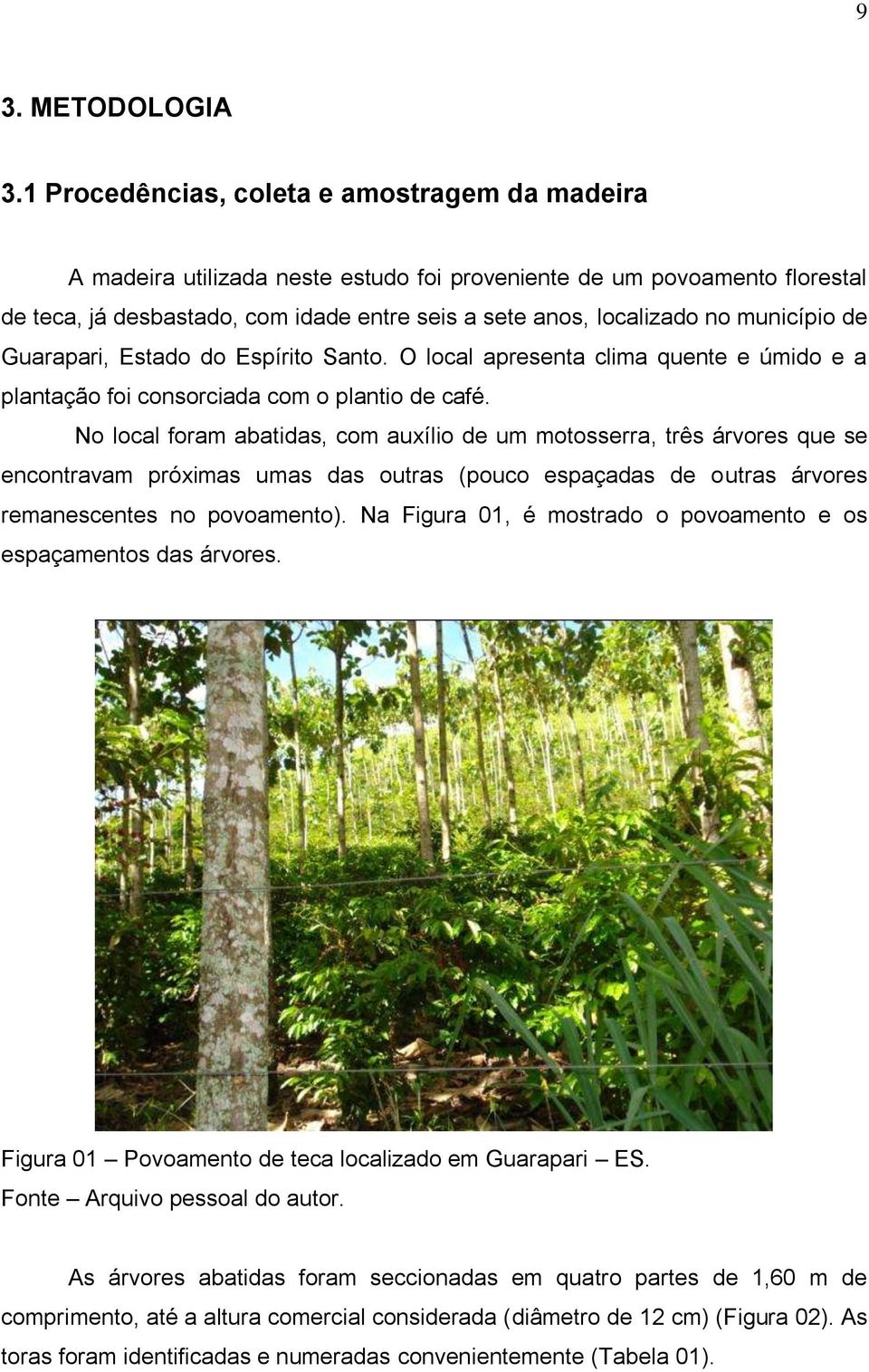 município de Guarapari, Estado do Espírito Santo. O local apresenta clima quente e úmido e a plantação foi consorciada com o plantio de café.