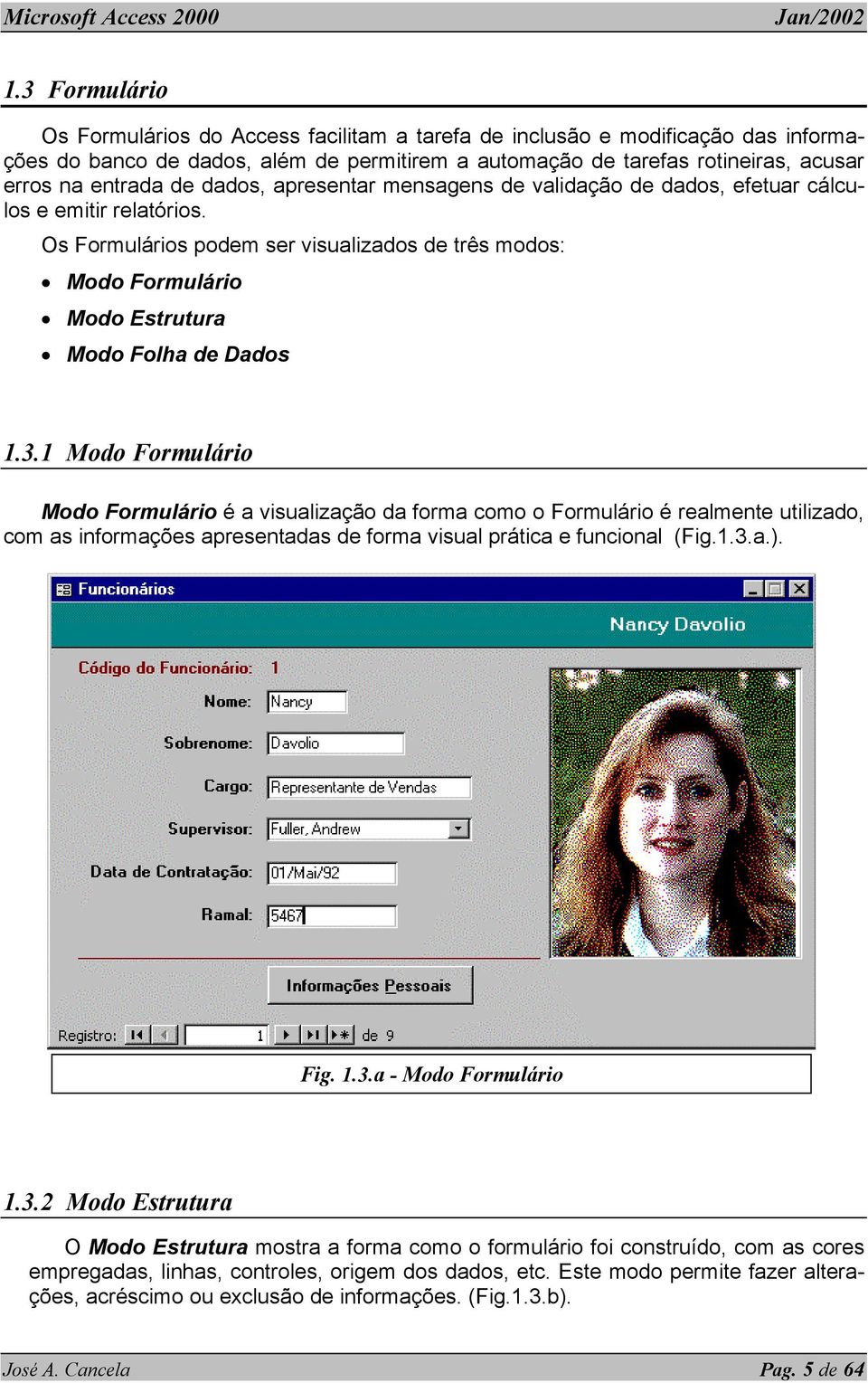 1 Modo Formulário Modo Formulário é a visualização da forma como o Formulário é realmente utilizado, com as informações apresentadas de forma visual prática e funcional (Fig.1.3.a.). Fig. 1.3.a - Modo Formulário 1.