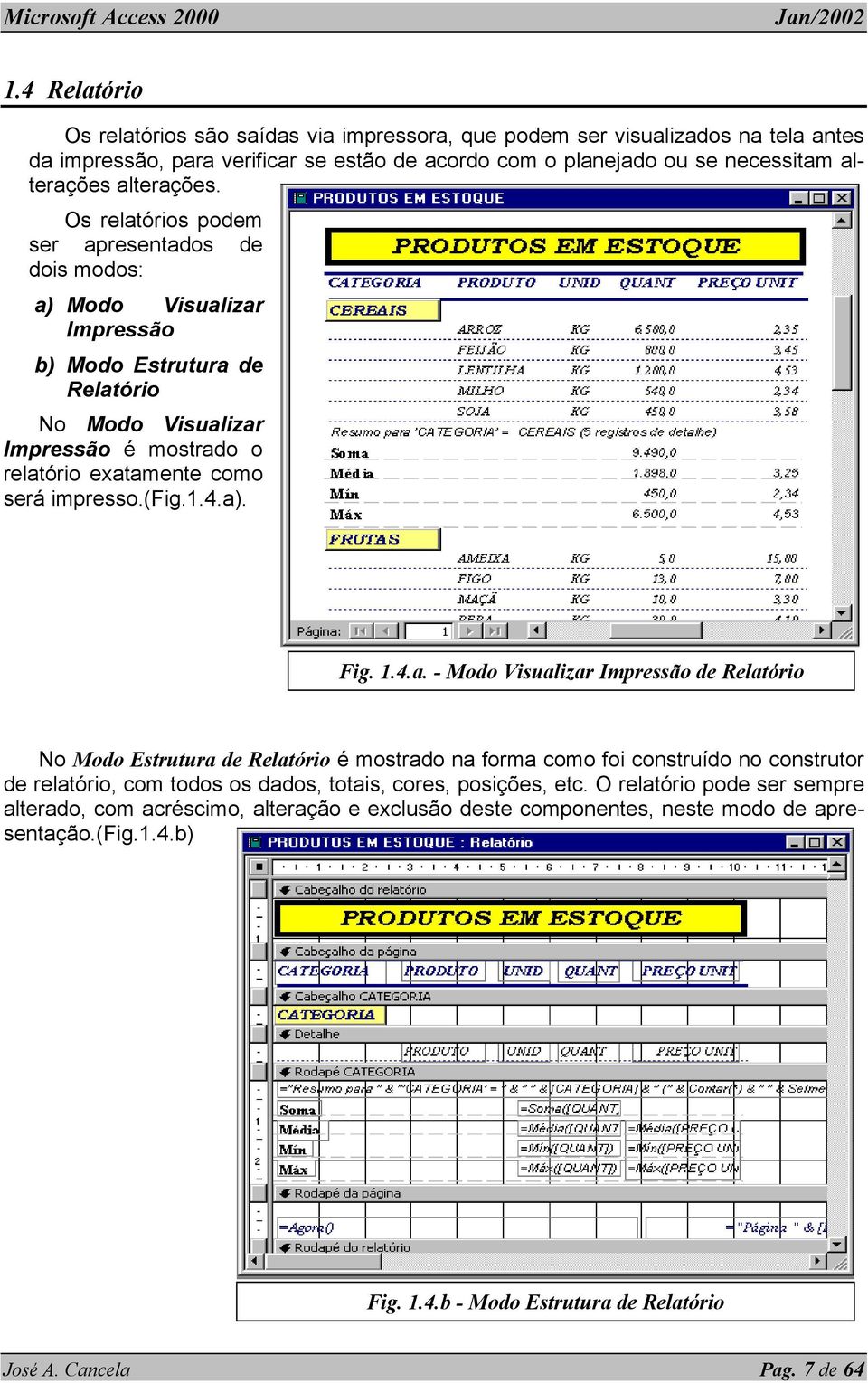 1.4.a). Fig. 1.4.a. - Modo Visualizar Impressão de Relatório No Modo Estrutura de Relatório é mostrado na forma como foi construído no construtor de relatório, com todos os dados, totais, cores, posições, etc.