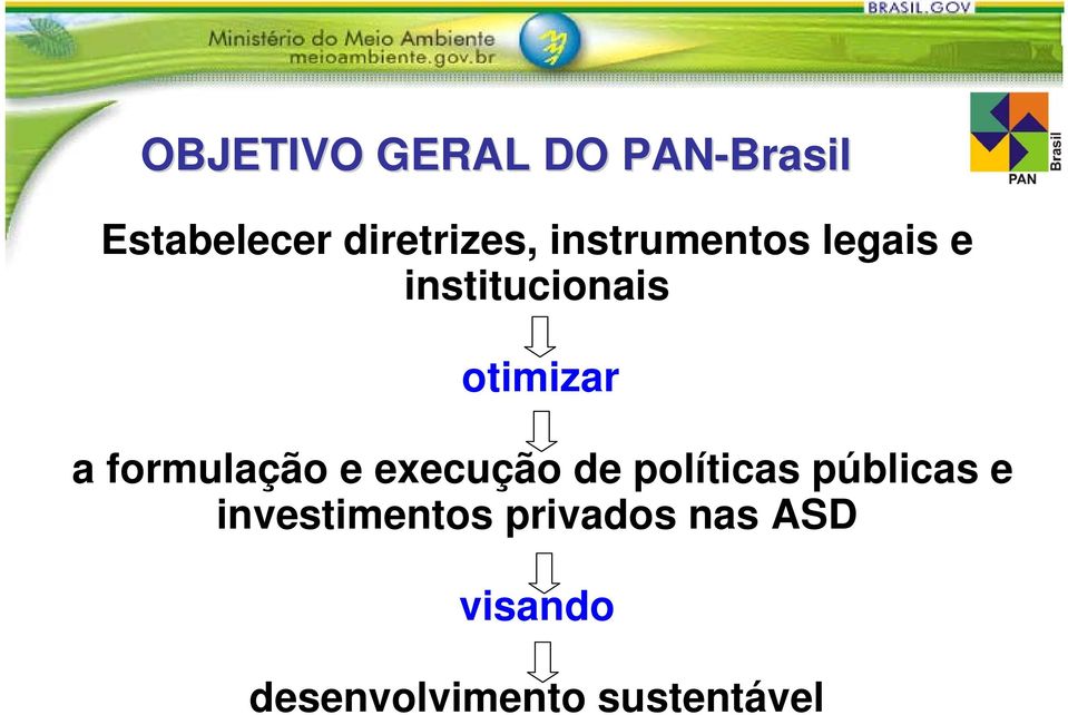 formulação e execução de políticas públicas e