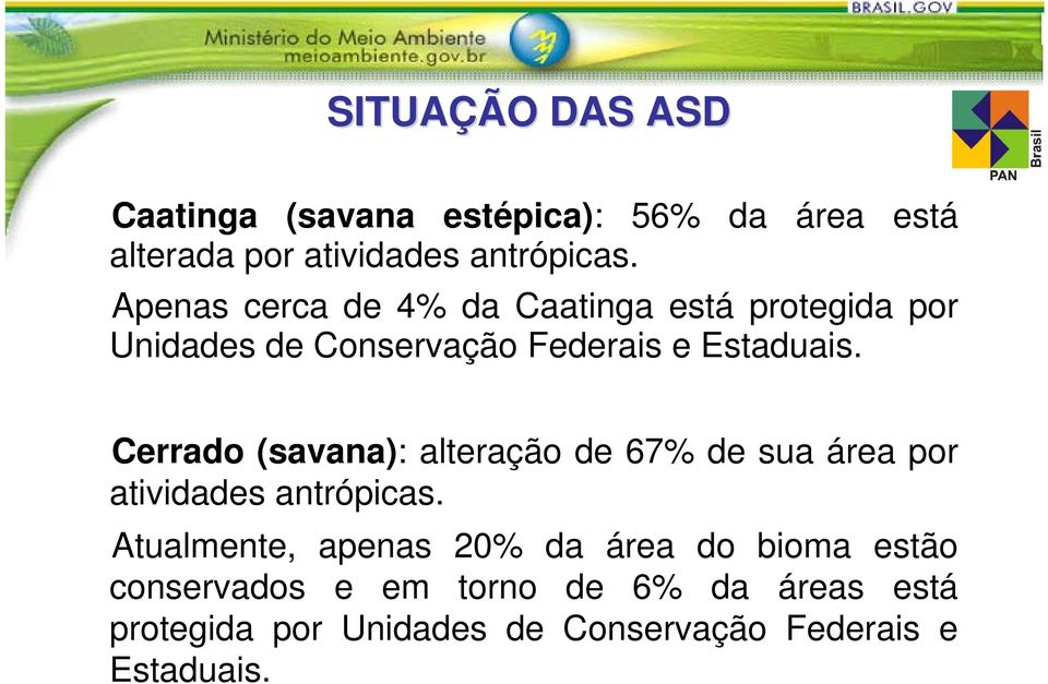 Cerrado (savana): alteração de 67% de sua área por atividades antrópicas.