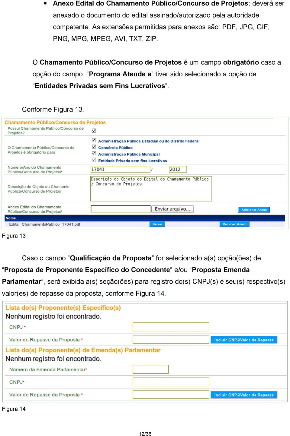 O Chamamento Público/Concurso de Projetos é um campo obrigatório caso a opção do campo Programa Atende a tiver sido selecionado a opção de Entidades Privadas sem Fins Lucrativos.