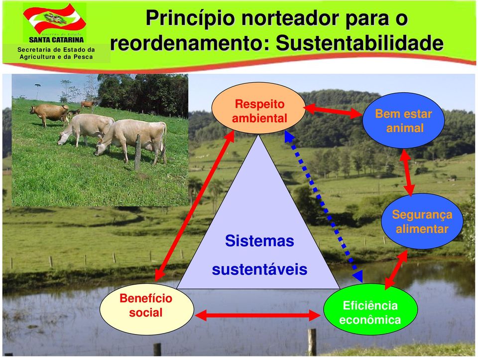 estar animal Sistemas sustentáveis