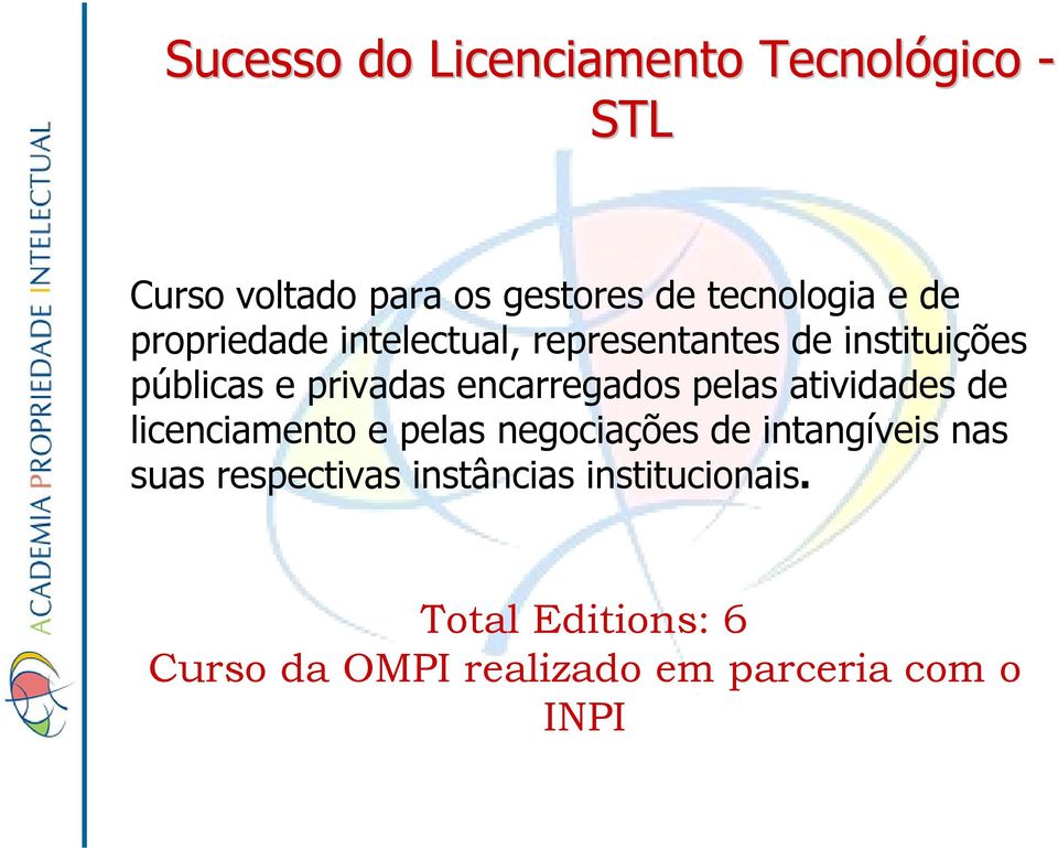 encarregados pelas atividades de licenciamento e pelas negociações de intangíveis nas suas