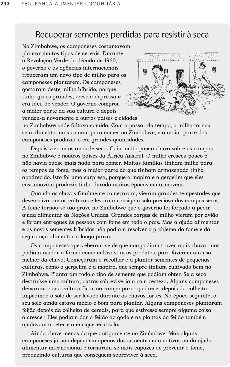 Os camponeses gostaram deste milho híbrido, porque tinha grãos grandes, crescia depressa e era fácil de vender.