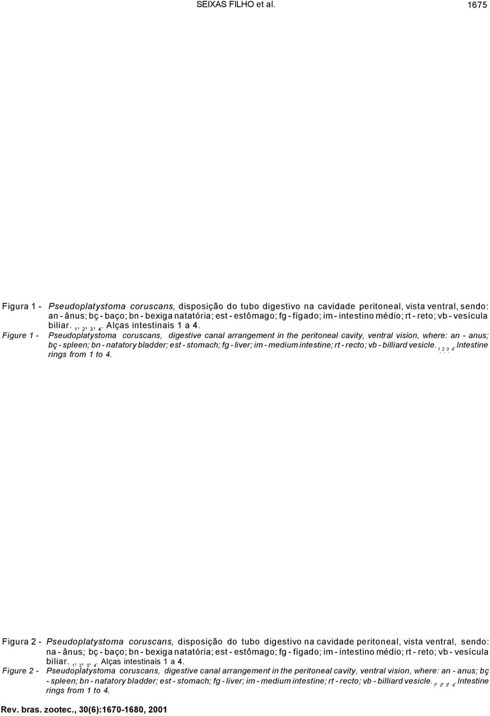 intestino médio; rt - reto; vb - vesícula biliar. 1, 2, 3, 4. Alças intestinais 1 a 4.