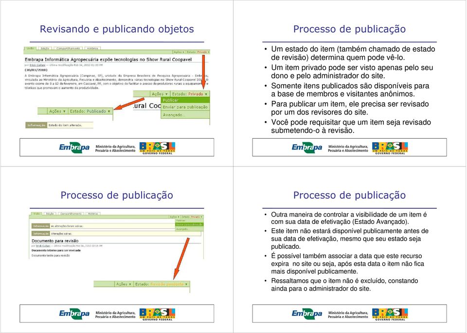 Para publicar um item, ele precisa ser revisado por um dos revisores do site. Você pode requisitar que um item seja revisado submetendo-o à revisão.