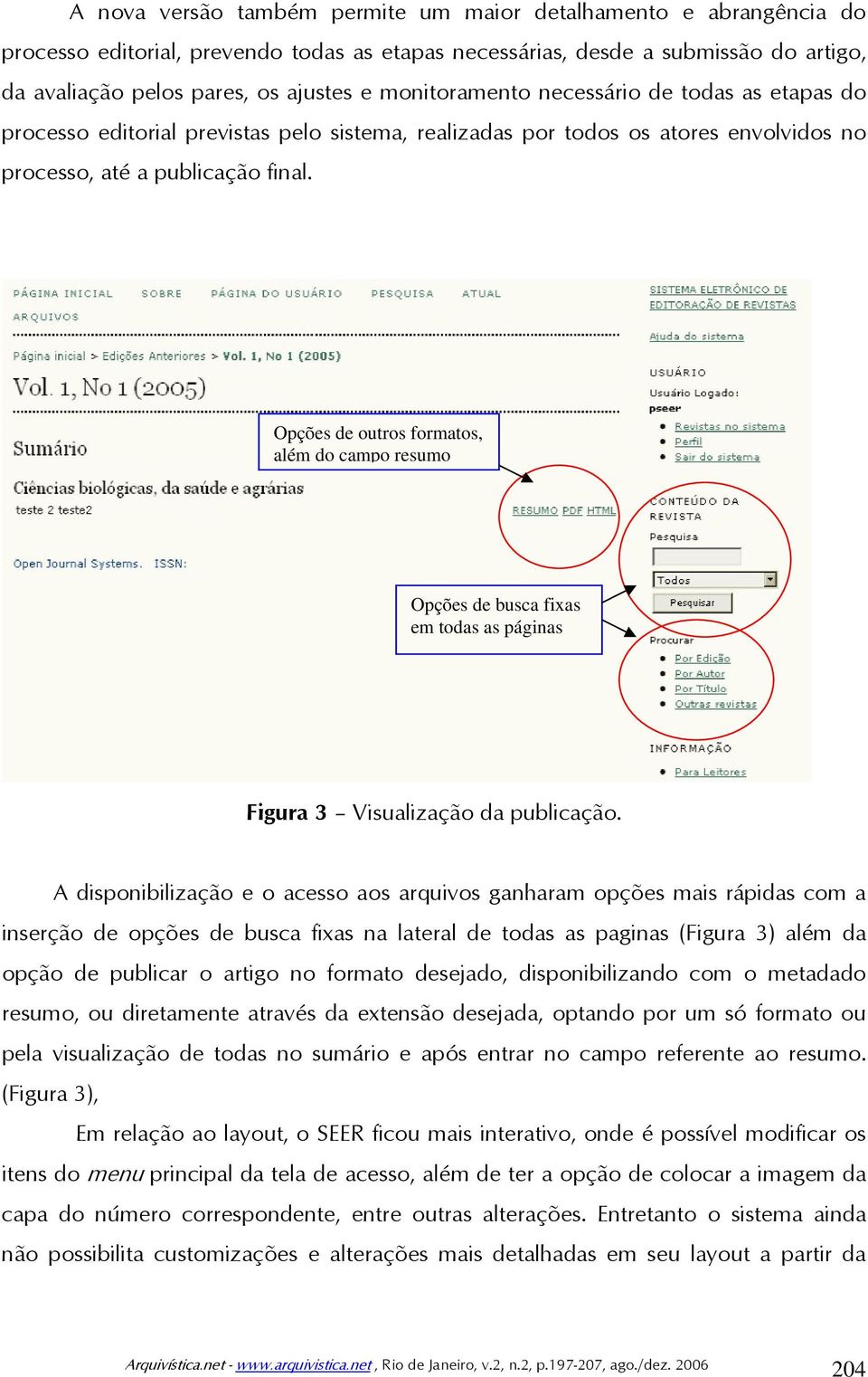 Opções de outros formatos, além do campo resumo Opções de busca fixas em todas as páginas Figura 3 Visualização da publicação.