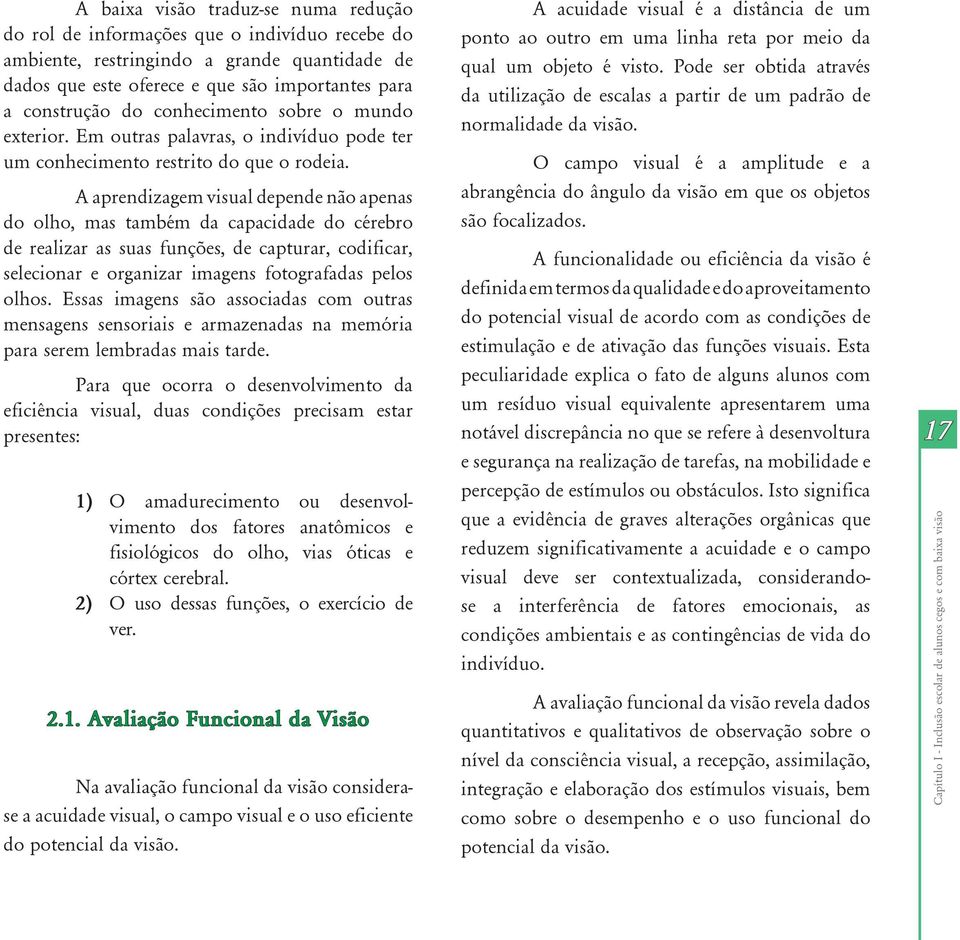 A aprendizagem visual depende não apenas do olho, mas também da capacidade do cérebro de realizar as suas funções, de capturar, codificar, selecionar e organizar imagens fotografadas pelos olhos.