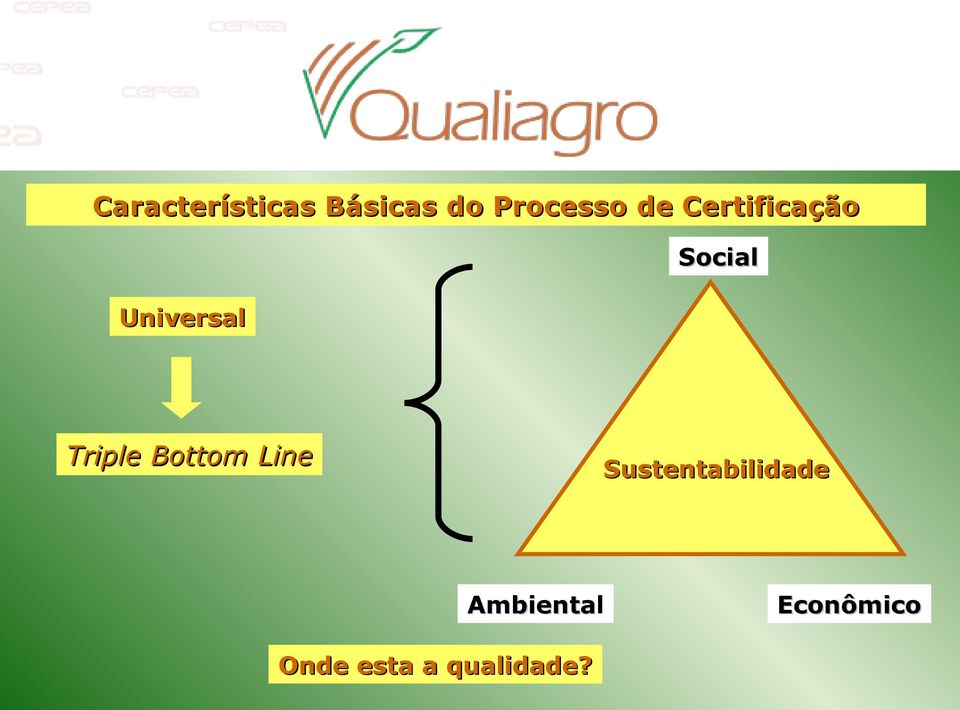 Triple Bottom Line Sustentabilidade