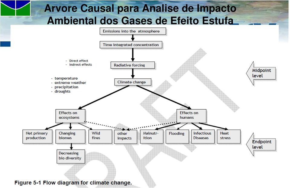 Ambiental dos