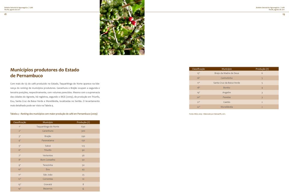 Mesmo com a supremacia das cidades do Agreste, há registros, segundo o IBGE (2009), de produção em Triunfo, Exu, Santa Cruz da Baixa Verde e Moreilândia, localizadas no Sertão.