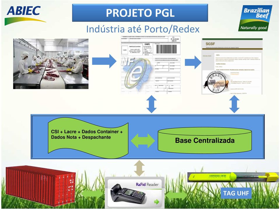 Dados Container + Dados Nota