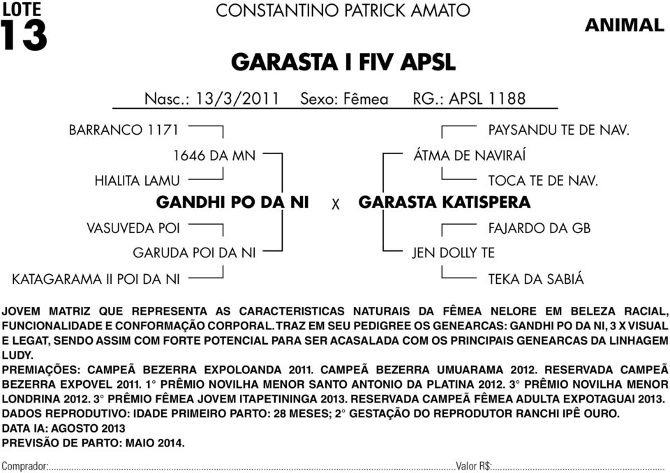 GARASTA KATISPERA FAJARDO DA GB JEN DOLLY TE TEKA DA SABIÁ JOVEM MATRIZ QUE REPRESENTA AS CARACTERISTICAS NATURAIS DA FÊMEA NELORE EM BELEZA RACIAL, FUNCIONALIDADE E CONFORMAÇÃO CORPORAL.