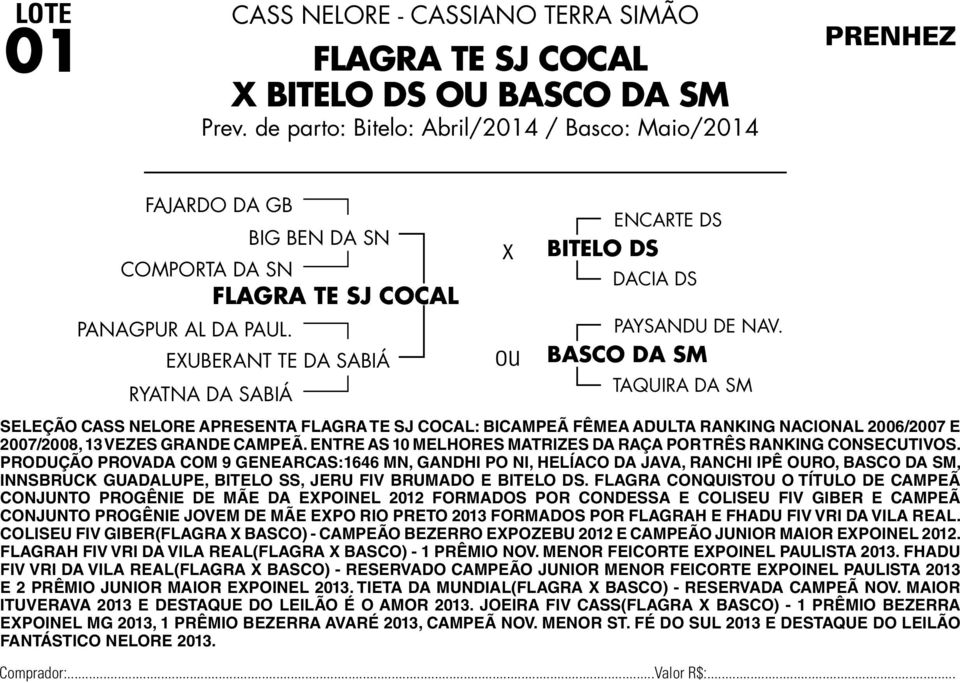 EXUBERANT TE DA SABIÁ RYATNA DA SABIÁ SELEÇÃO CASS NELORE APRESENTA FLAGRA TE SJ COCAL: BICAMPEÃ FÊMEA ADULTA RANKING NACIONAL 2006/2007 E 2007/2008, 13 VEZES GRANDE CAMPEÃ.