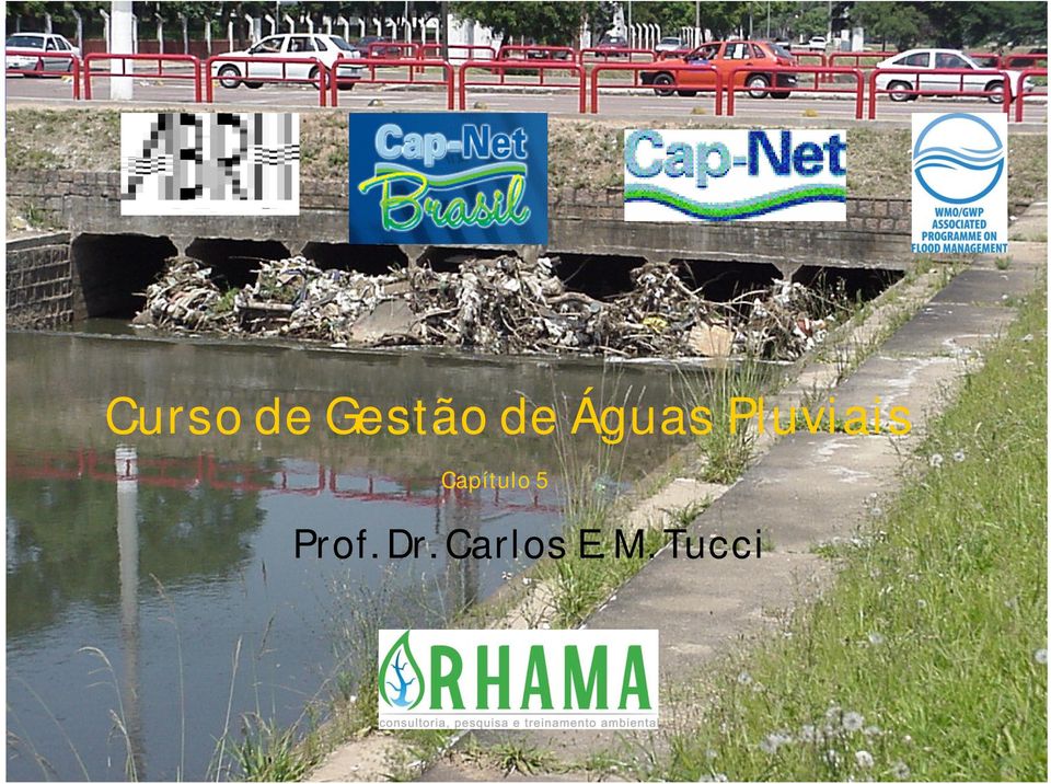 Carlos E. M. Tucci Prof. Dr.