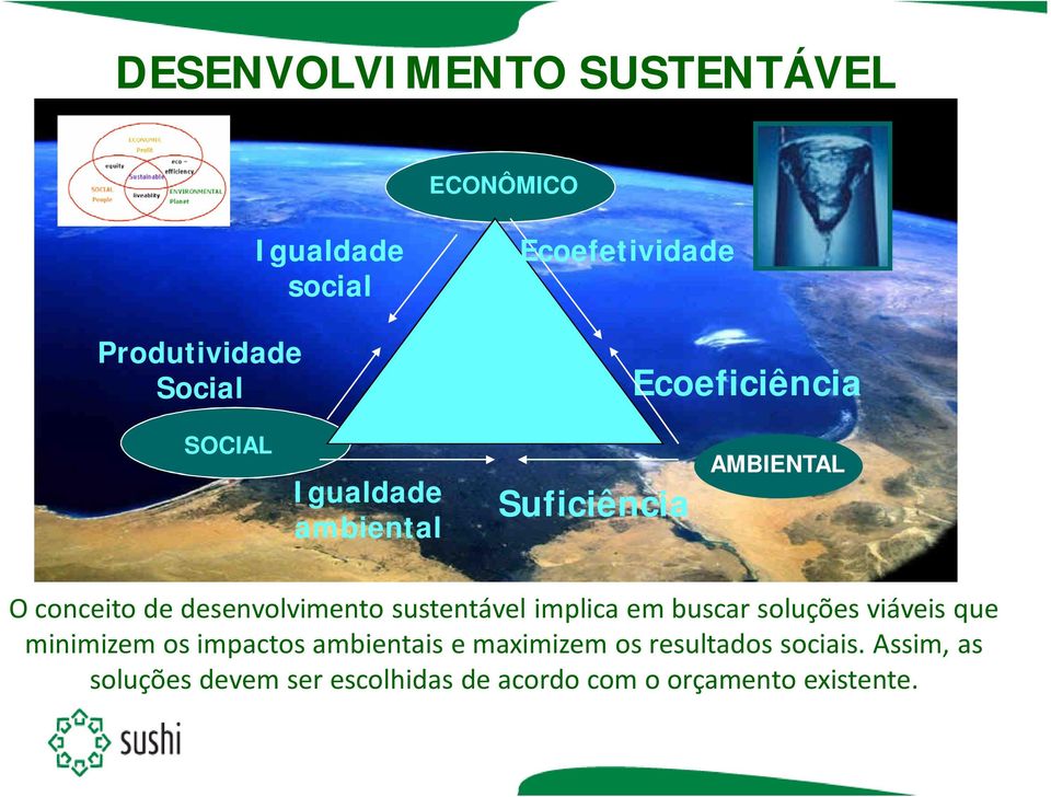 sustentável implica em buscar soluções viáveis que minimizem os impactos ambientais e