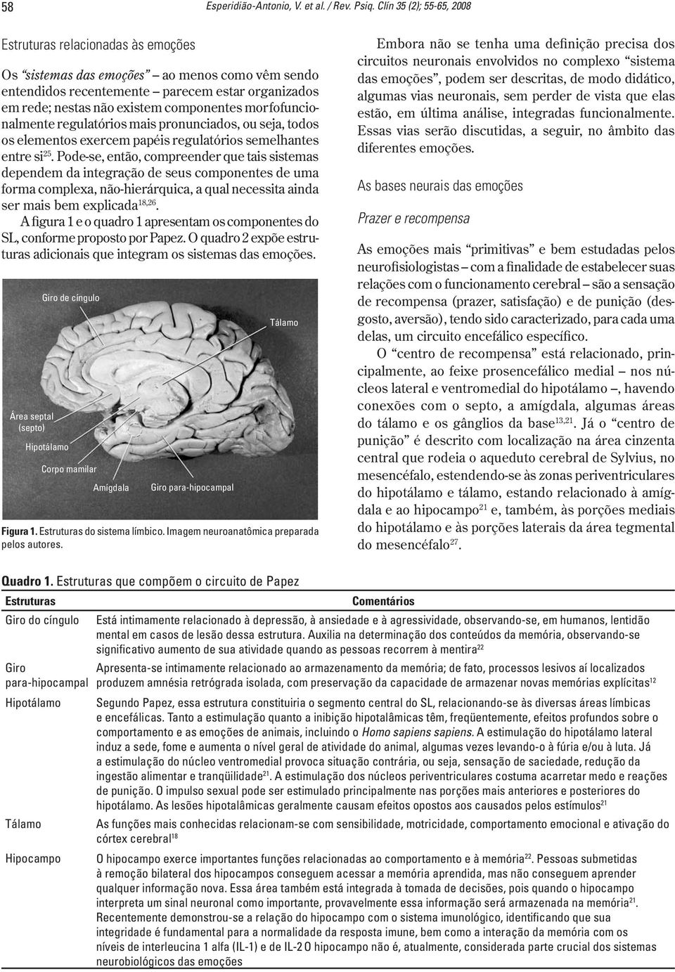 morfofuncionalmente regulatórios mais pronunciados, ou seja, todos os elementos exercem papéis regulatórios semelhantes entre si 25.