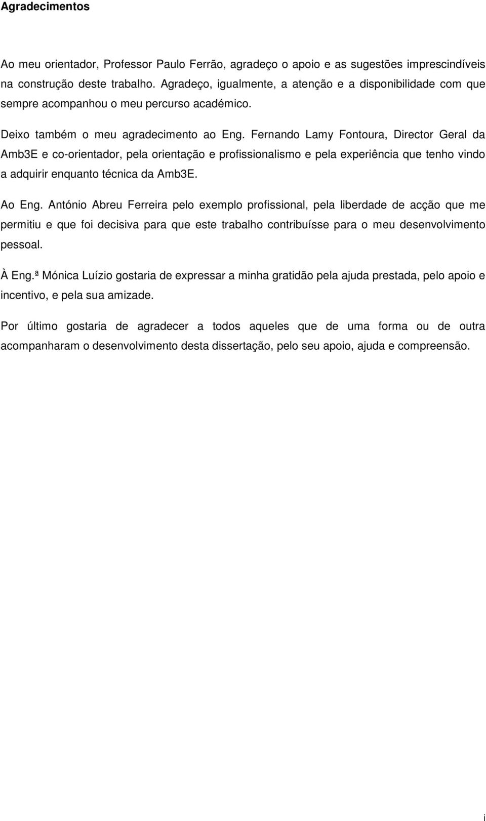 Fernando Lamy Fontoura, Director Geral da Amb3E e co-orientador, pela orientação e profissionalismo e pela experiência que tenho vindo a adquirir enquanto técnica da Amb3E. Ao Eng.