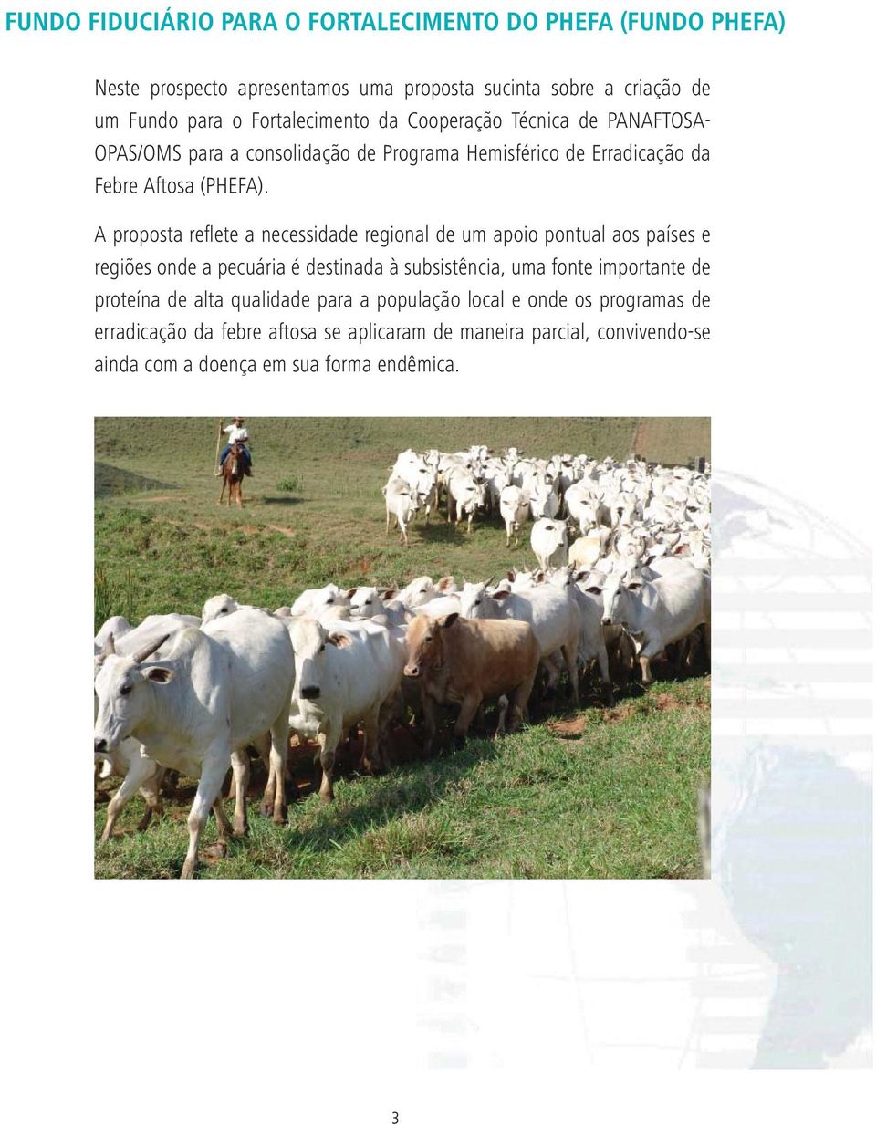 A proposta refl ete a necessidade regional de um apoio pontual aos países e regiões onde a pecuária é destinada à subsistência, uma fonte importante de