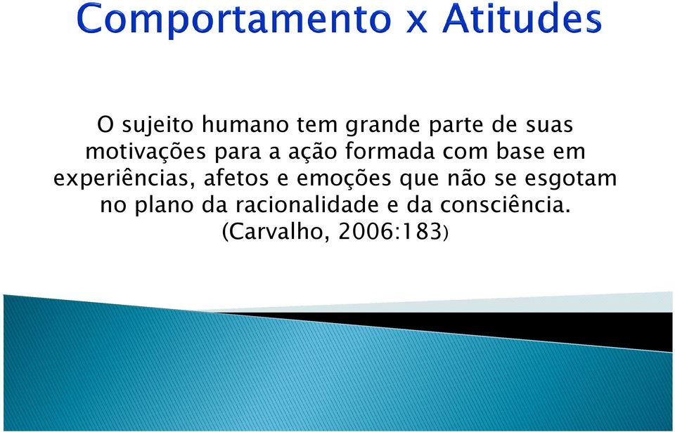 experiências, afetos e emoções que não se esgotam