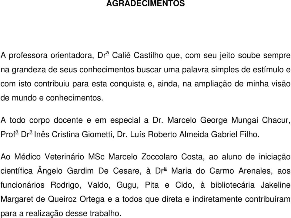 Marcelo George Mungai Chacur, Prof a Dr a Inês Cristina Giometti, Dr. Luís Roberto Almeida Gabriel Filho.