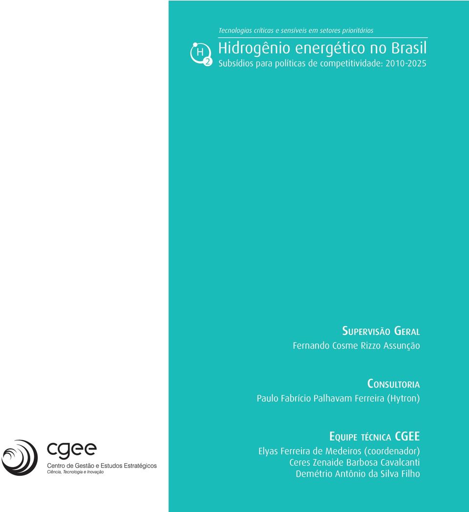 Assunção Consultoria Paulo Fabrício Palhavam Ferreira (Hytron) Equipe técnica CGEE Elyas