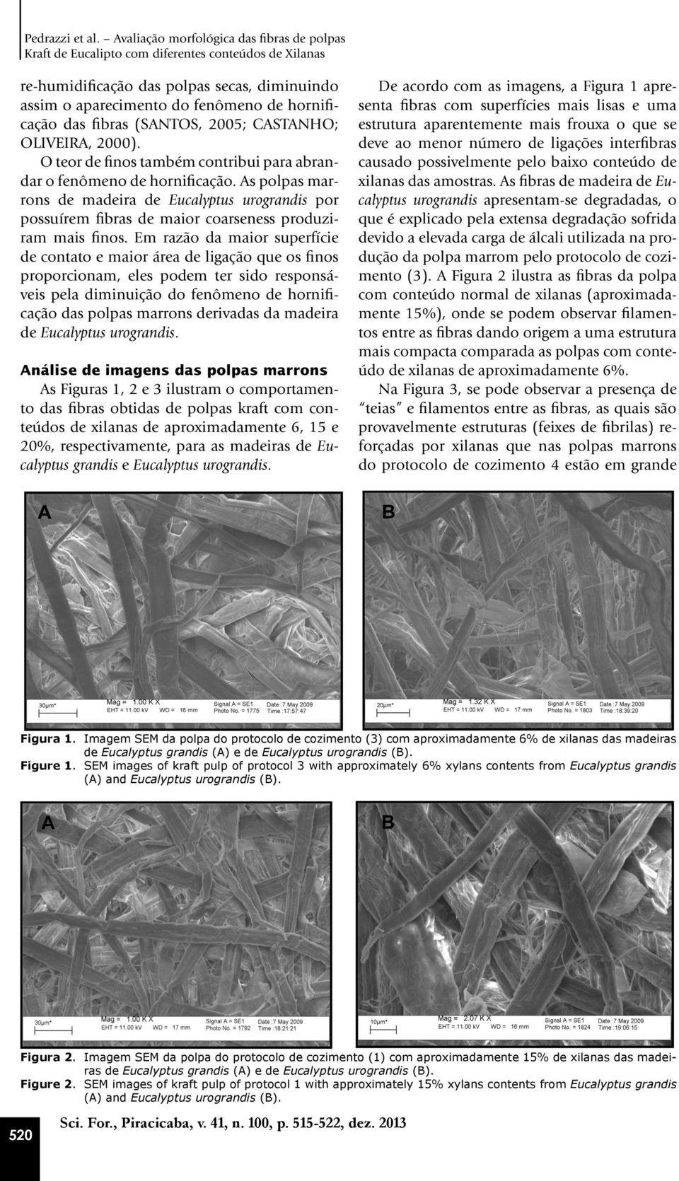 fibras (SANTOS, 2005; CASTANHO; OLIVEIRA, 2000). O teor de finos também contribui para abrandar o fenômeno de hornificação.