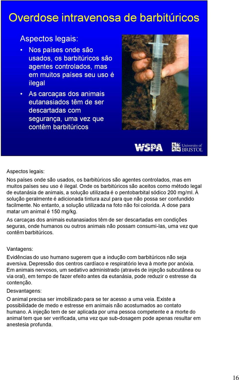 À solução geralmente é adicionada tintura azul para que não possa ser confundido facilmente. No entanto, a solução utilizada na foto não foi colorida. A dose para matar um animal é 150 mg/kg.