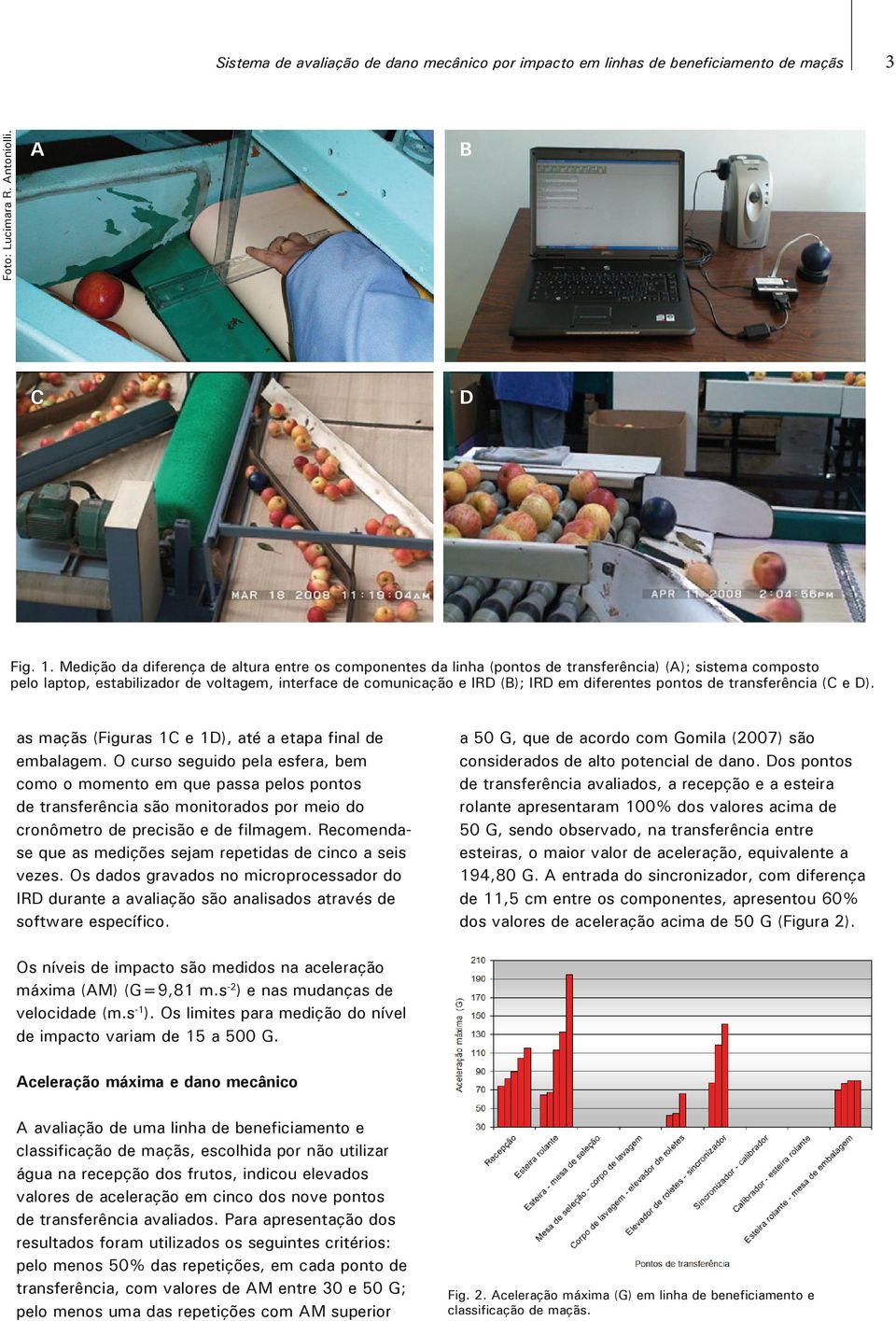 diferentes pontos de transferência (C e D). as maçãs (Figuras 1C e 1D), até a etapa final de embalagem.