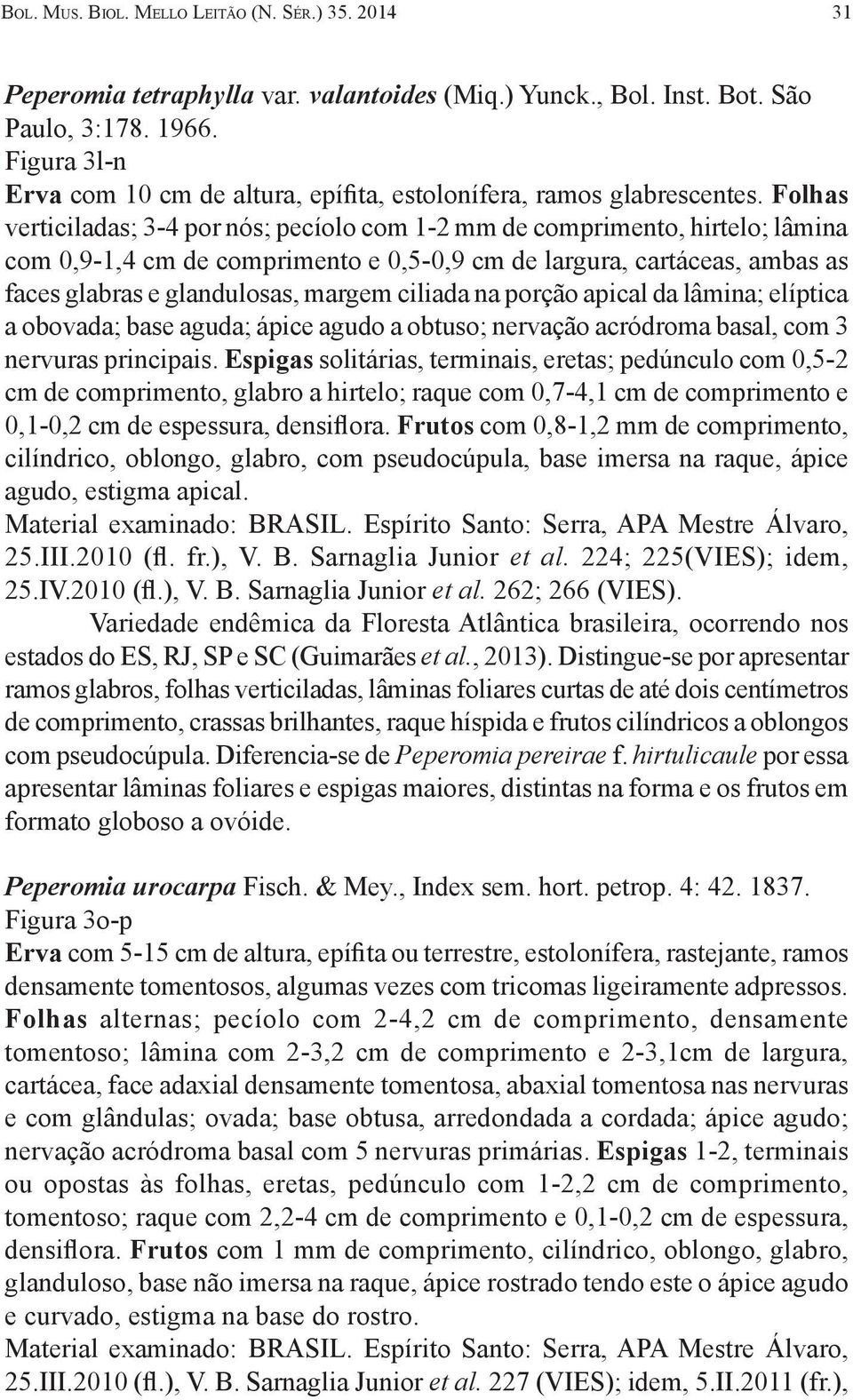 Folhas verticiladas; 3-4 por nós; pecíolo com 1-2 mm de comprimento, hirtelo; lâmina com 0,9-1,4 cm de comprimento e 0,5-0,9 cm de largura, cartáceas, ambas as faces glabras e glandulosas, margem