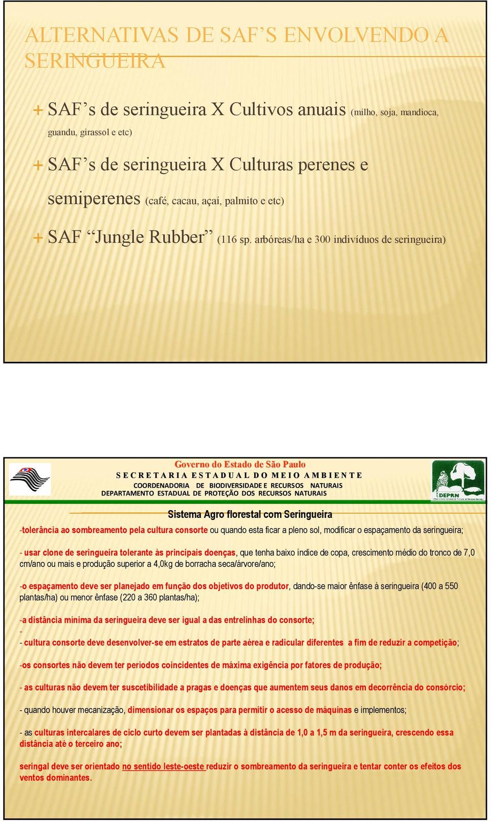 seringueira; - usar clone de seringueira tolerante às principais doenças, que tenha baixo índice de copa, crescimento médio do tronco de 7,0 cm/ano ou mais e produção superior a 4,0kg de borracha