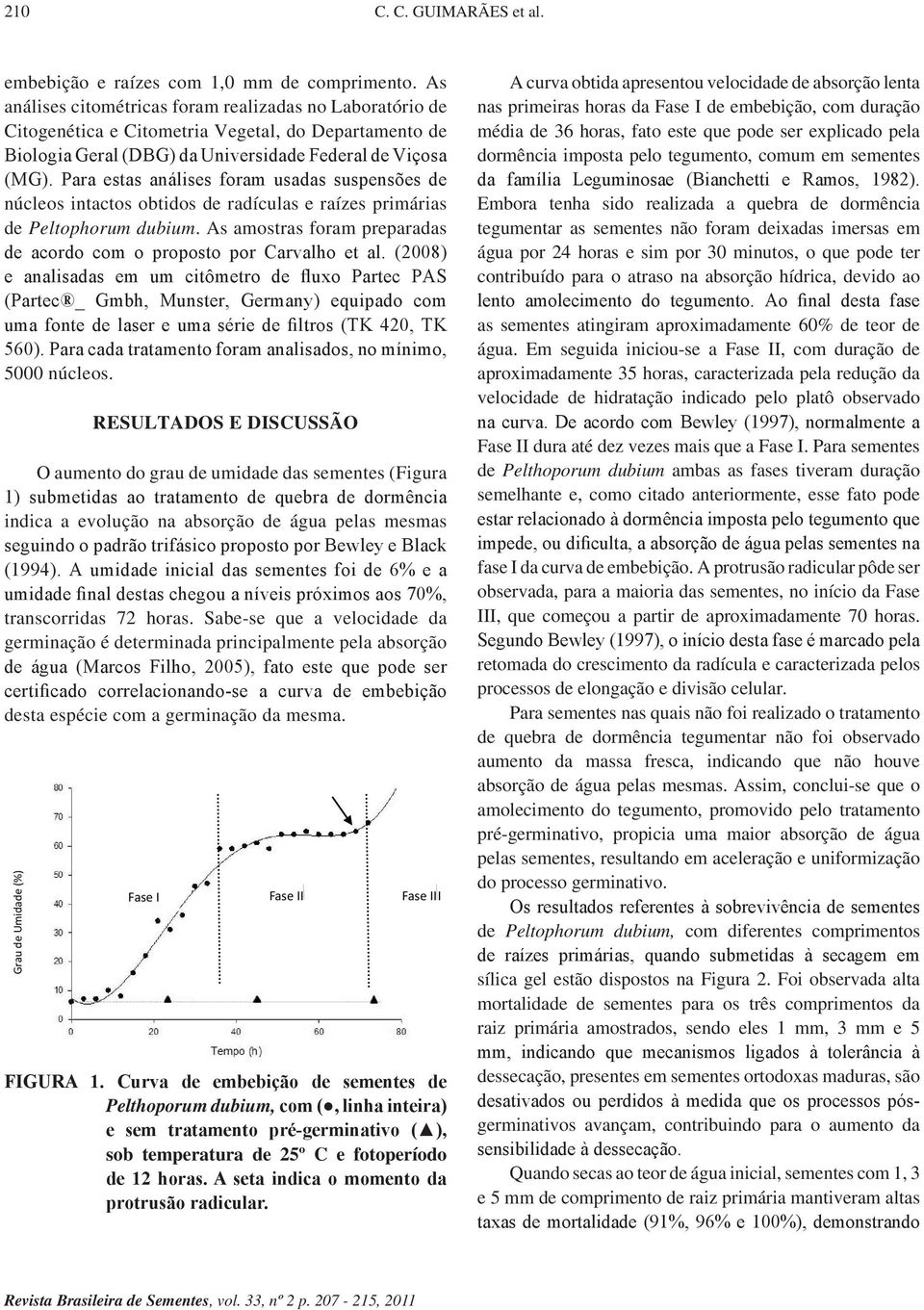 Pr ests nálises form usds suspensões de núcleos intctos obtidos de rdículs e rízes primáris de Peltophorum dubium. As mostrs form preprds de cordo com o proposto por Crvlho et l.