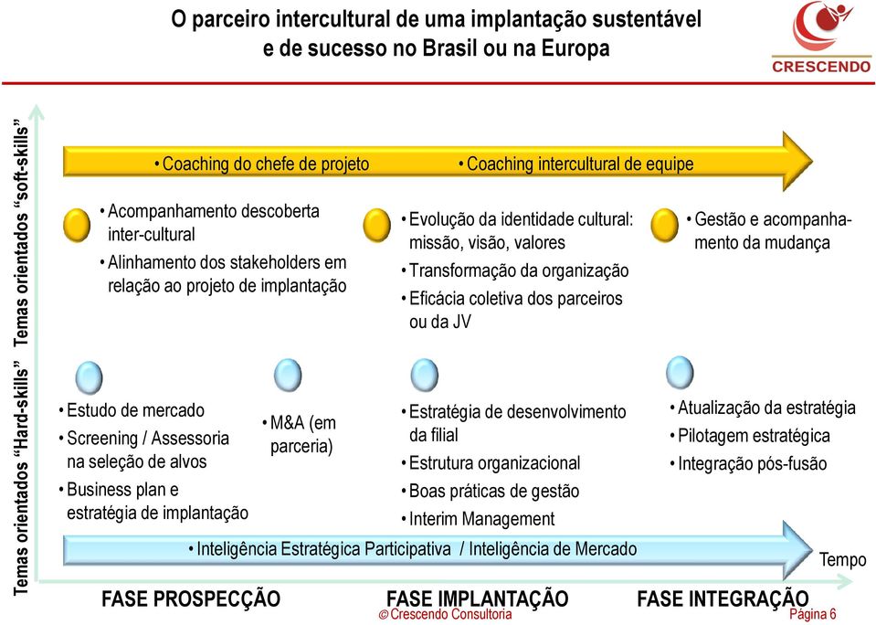 M&A (em parceria) Coaching intercultural de equipe Evolução da identidade cultural: missão, visão, valores Transformação da organização Eficácia coletiva dos parceiros ou da JV Estratégia de