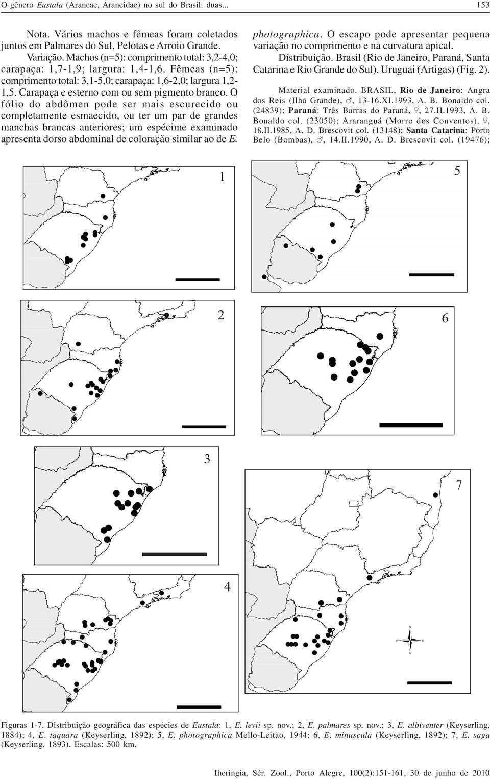 O fólio do abdômen pode ser mais escurecido ou completamente esmaecido, ou ter um par de grandes manchas brancas anteriores; um espécime examinado apresenta dorso abdominal de coloração similar ao de