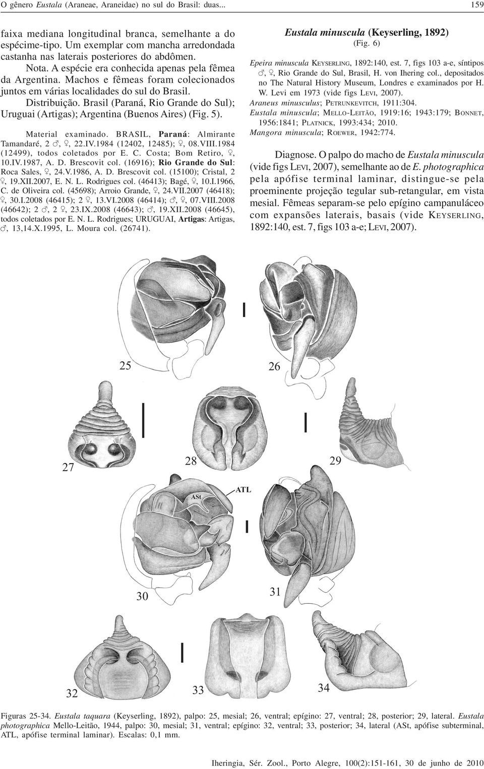 Brasil (Paraná, Rio Grande do Sul); Uruguai (Artigas); Argentina (Buenos Aires) (Fig. 5). Material examinado. BRASIL, Paraná: Almirante Tamandaré, 2,, 22.IV.1984 (12402, 12485);, 08.VIII.