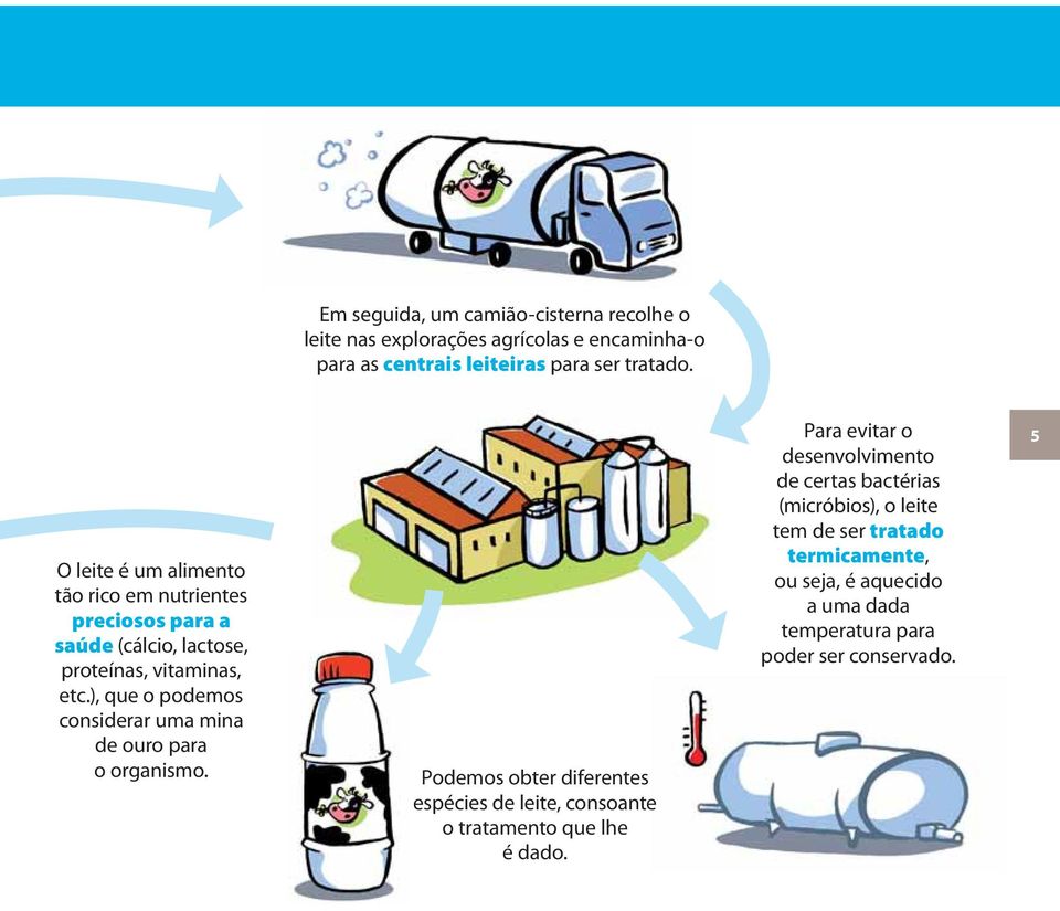 ), que o podemos considerar uma mina de ouro para o organismo.