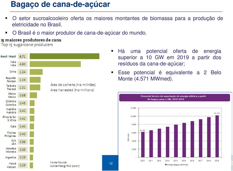 O Brasil é o maior produtor de cana-de-açúcar do mundo.