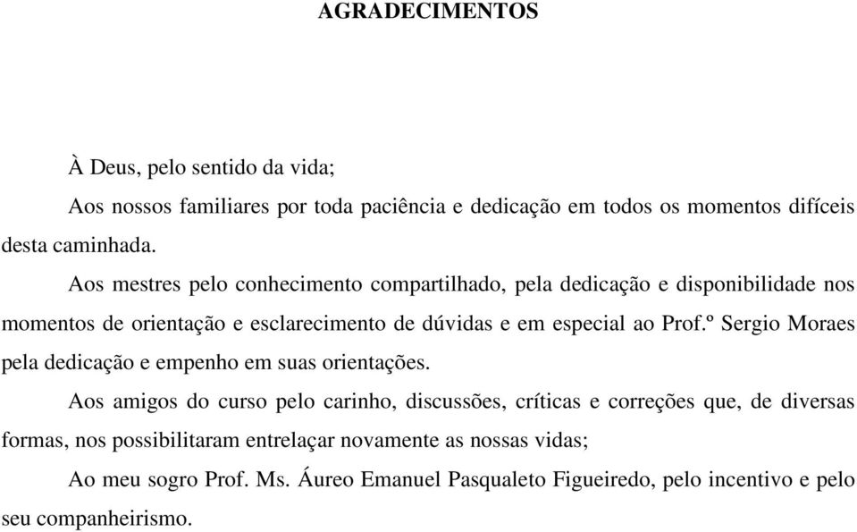 Prof.º Sergio Moraes pela dedicação e empenho em suas orientações.