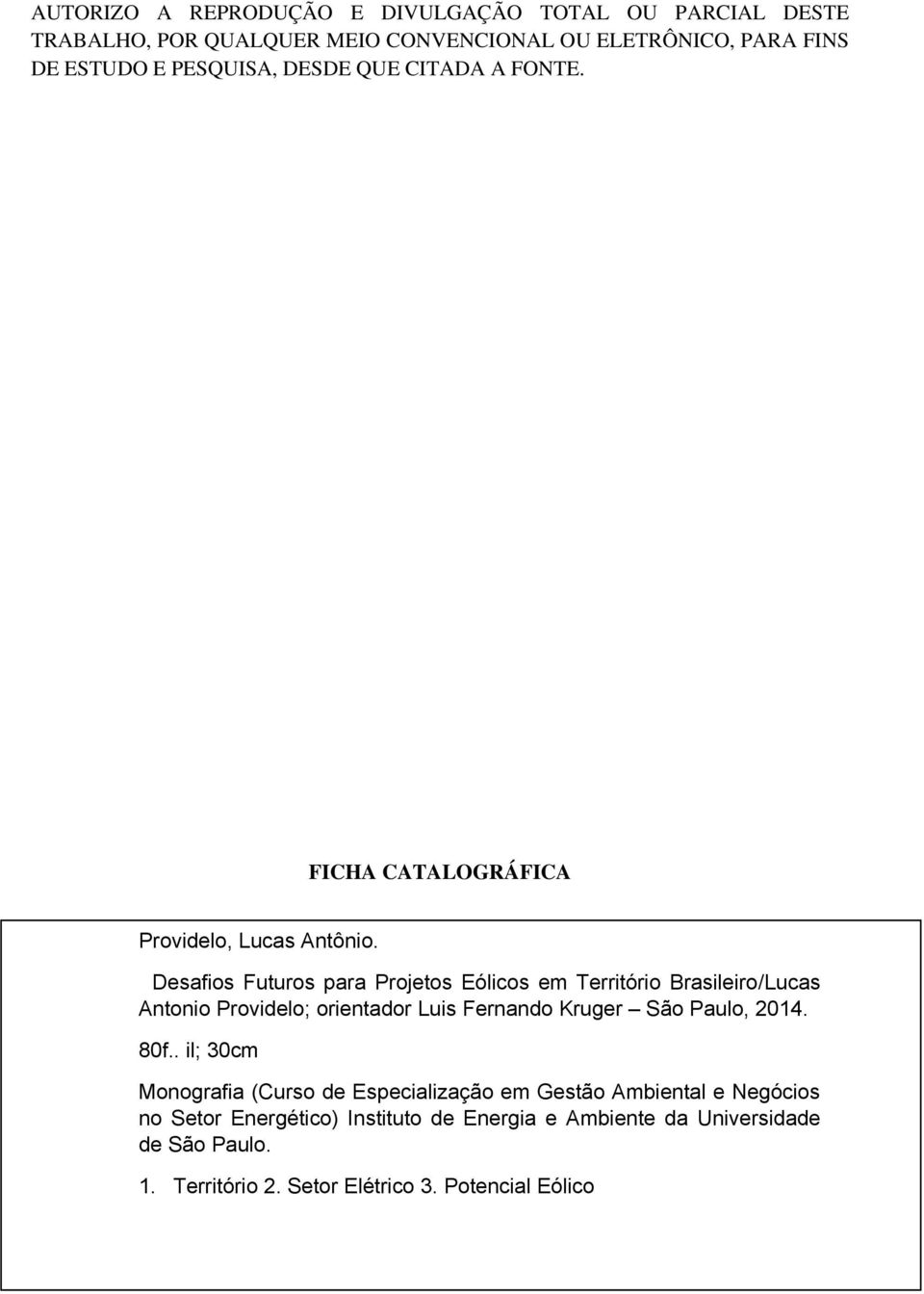 Desafios Futuros para Projetos Eólicos em Território Brasileiro/Lucas Antonio Providelo; orientador Luis Fernando Kruger São Paulo, 2014. 80f.