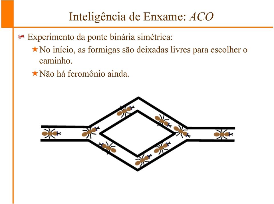 «No início, as formigas são deixadas