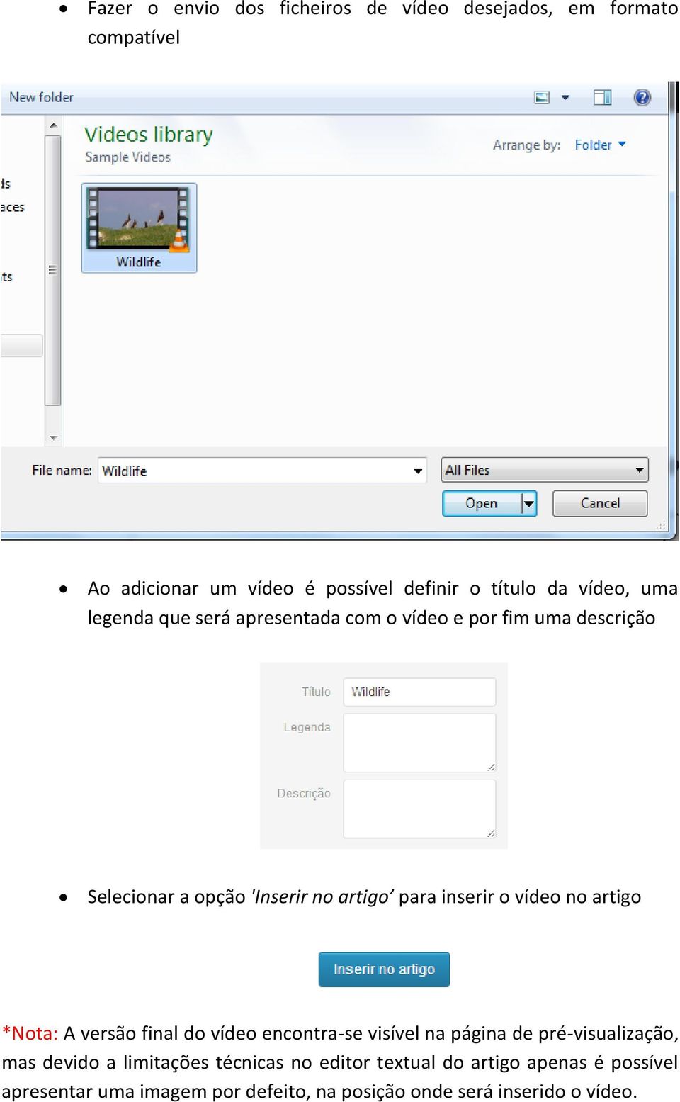 inserir o vídeo no artigo *Nota: A versão final do vídeo encontra-se visível na página de pré-visualização, mas devido a