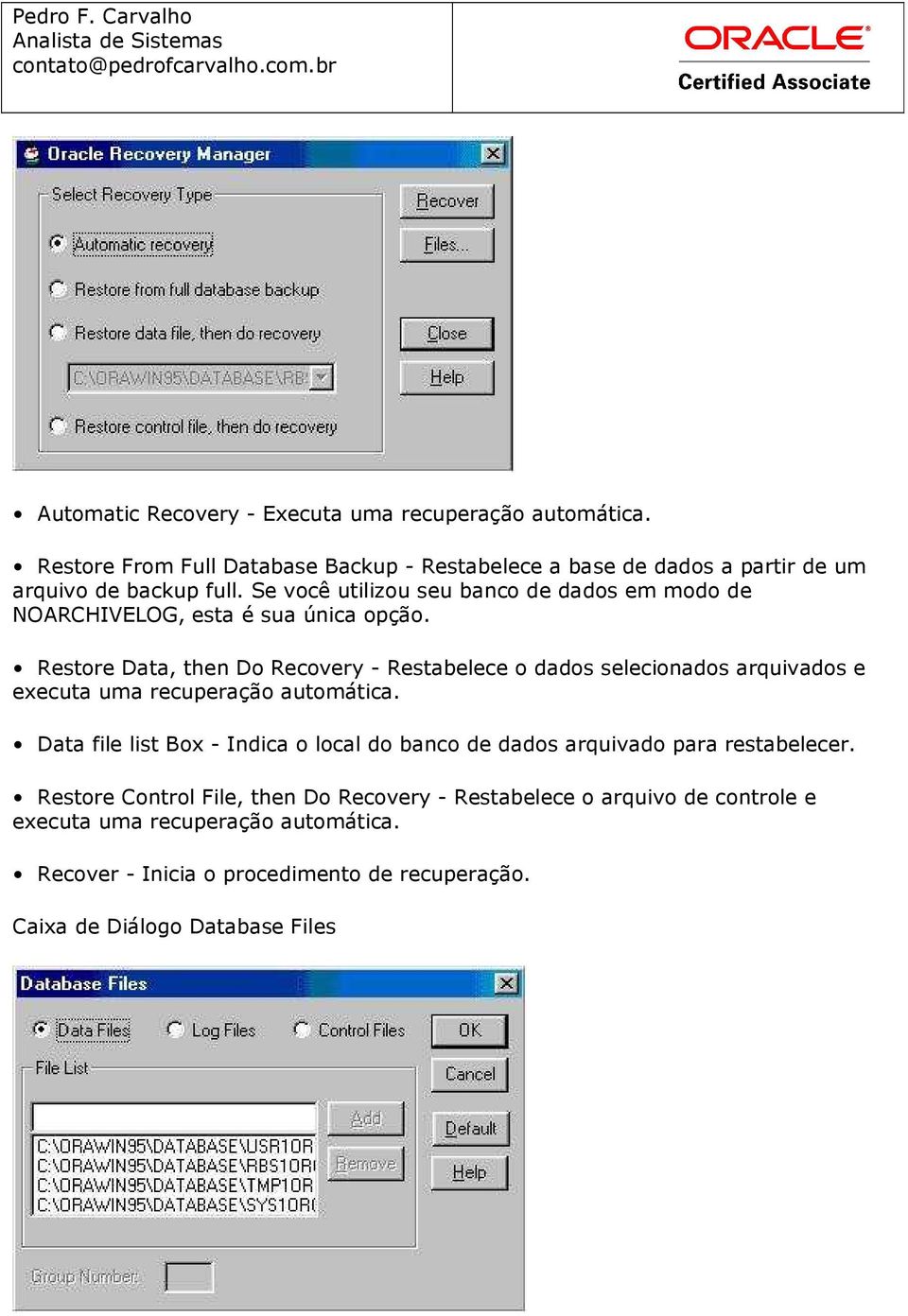 Restore Data, then Do Recovery - Restabelece o dados selecionados arquivados e executa uma recuperação automática.