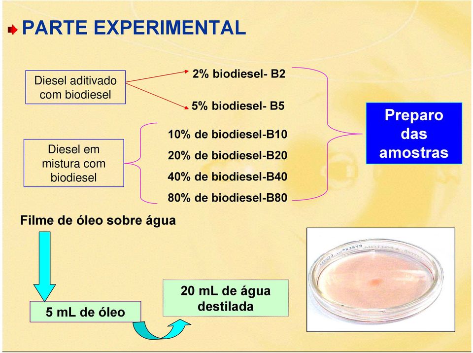 B5 10% de biodiesel-b10 20% de biodiesel-b20 40% de biodiesel-b40 80%