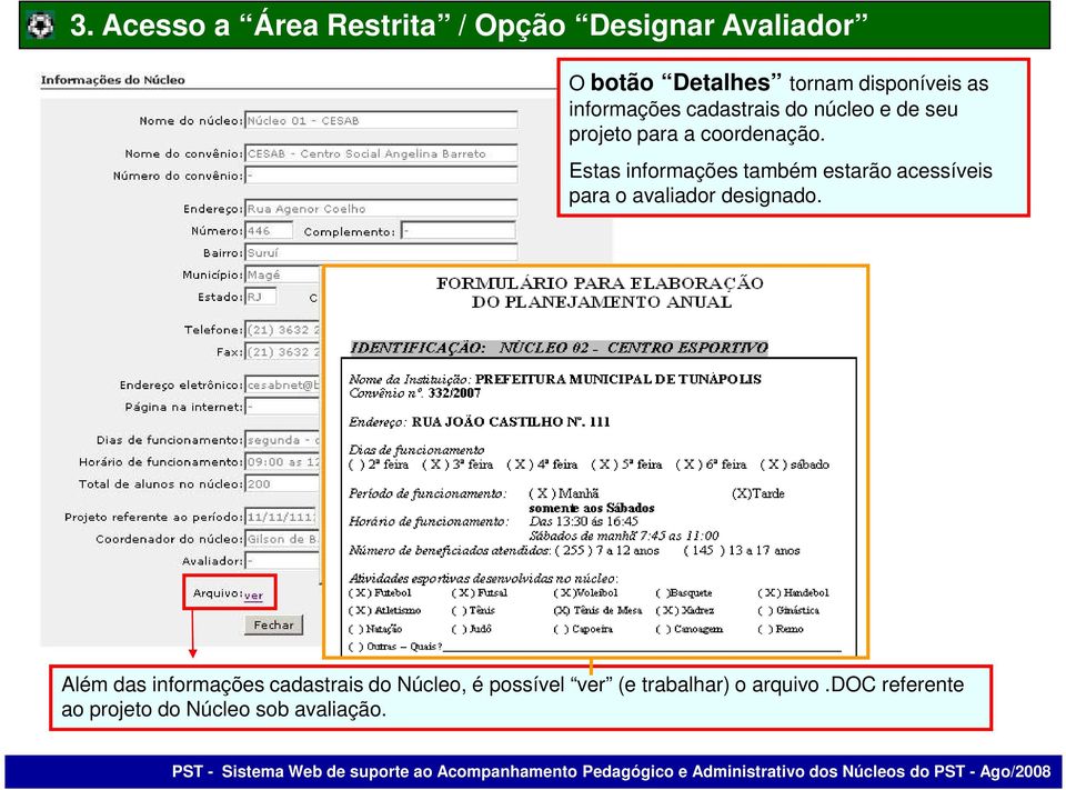 Estas informações também estarão acessíveis para o avaliador designado.